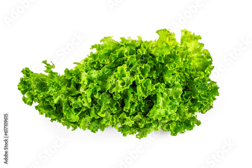 Lettuce leaf isolated on white background.