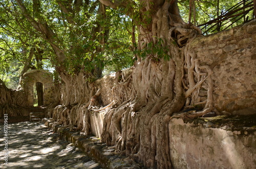 village in ethopia