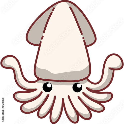 suid octopus photo