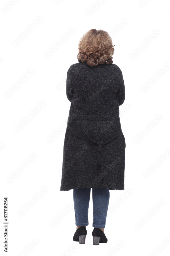 rear view. casual woman looking at a large white screen rear view. casual woman looking at a large white screen