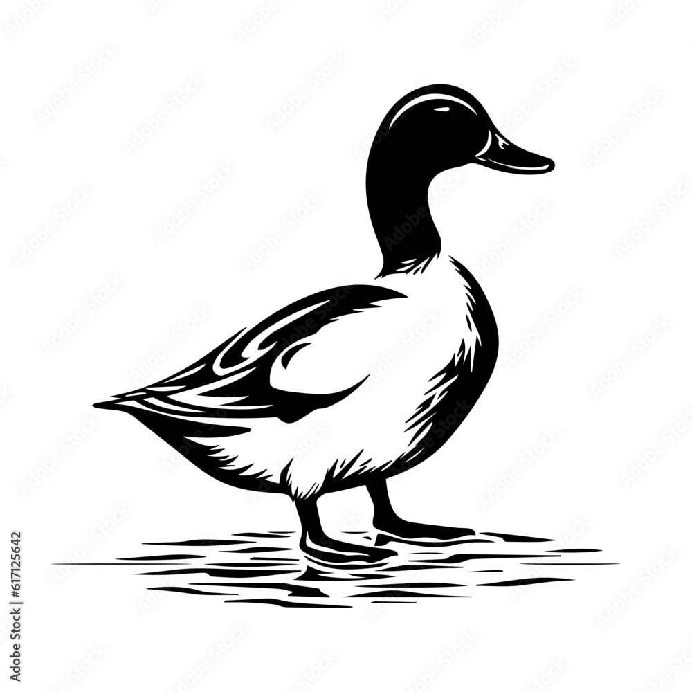 Duck silhouette illustration Duck silhouette illustration