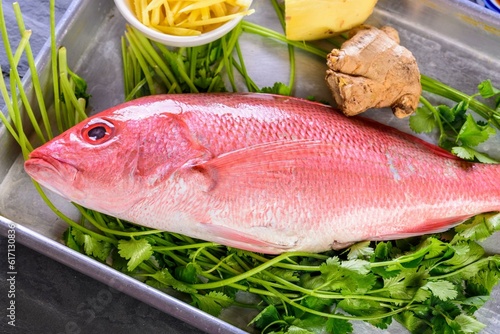 Vibrant Close-Up: Fresh Raw Red Snapper Fish with Zesty Lemon Accent in 4K