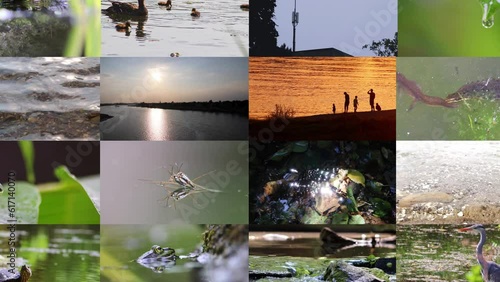 Animated collage of water videos shows multiple water surface videos and water related clips with waves and rainy weather or sea animals and moments at the beach or coast with frogs striders and birds photo