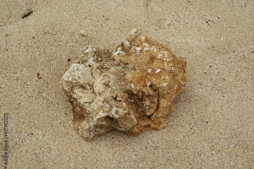 Coral reef in grainy sand on tropical beach