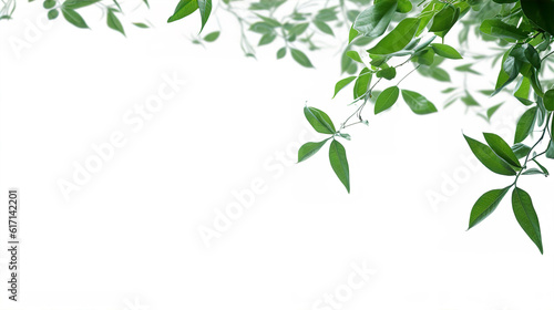 Lush Green Leaves Falling Frame Border Illustration White Background. A.I. Generated.