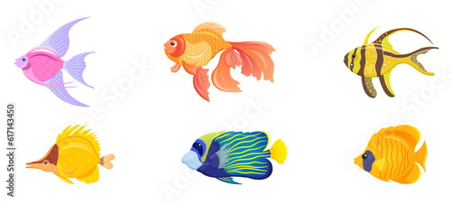 Tropical fish on white background. Set of exotic sea creatures. Bright aquarium animals