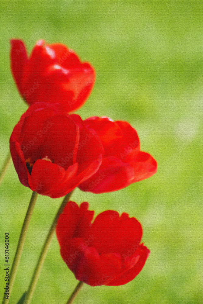 Obraz premium PHOTO-ILLUSTRATION-Beautiful, Red, Spring, Tulips In Bloom - Wedding, Baby Shower, Brunch, Garden Party, Birthday, Invitation, Border, Backdrop, Flier, Poster, Ad, Wallpaper, social media post or ad