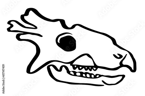 Dinosaur skull. Hand drawn black line art vector illustration. Triceratops. Doodle simple skull skeleton for archaeological, paleontological, alchemy poster, book, game, web designs.