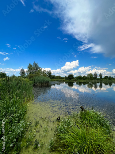 A beautiful small lake in the countryside. Sunny day with clouds in the sky. Perfect place for relaxing