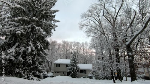 Wallpaper Mural front yard and trees covered with snow after the snowstorm in February at the end of afternoon Torontodigital.ca