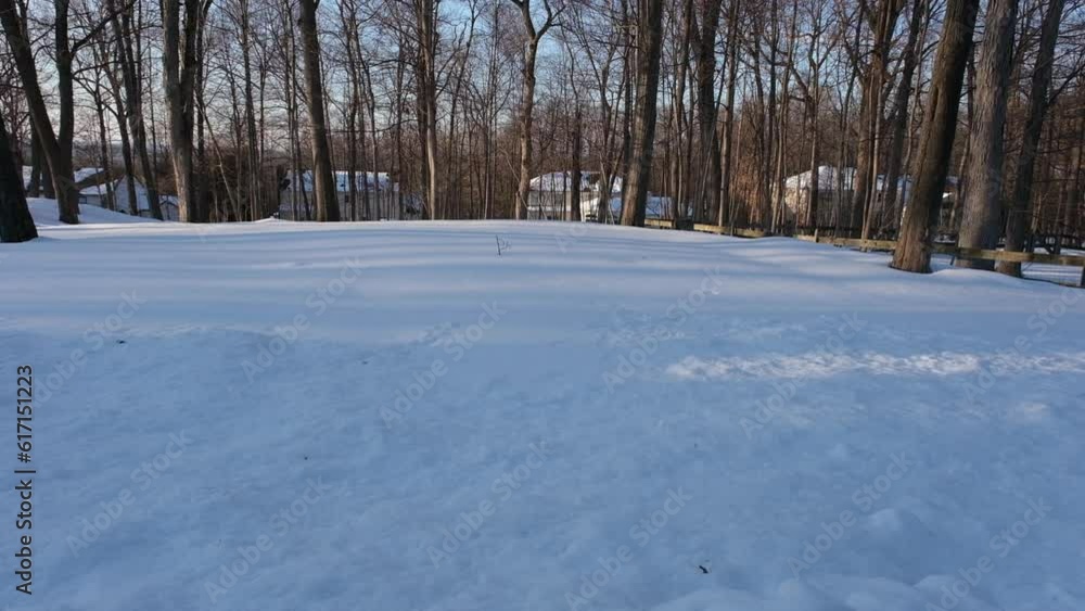 garden backyard covered with snow after the snowstorm in February garden backyard covered with snow after the snowstorm in February