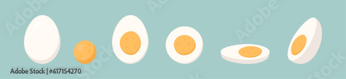 Set of boiled eggs. Whole, half and sliced eggs. Isolated vector illustration.