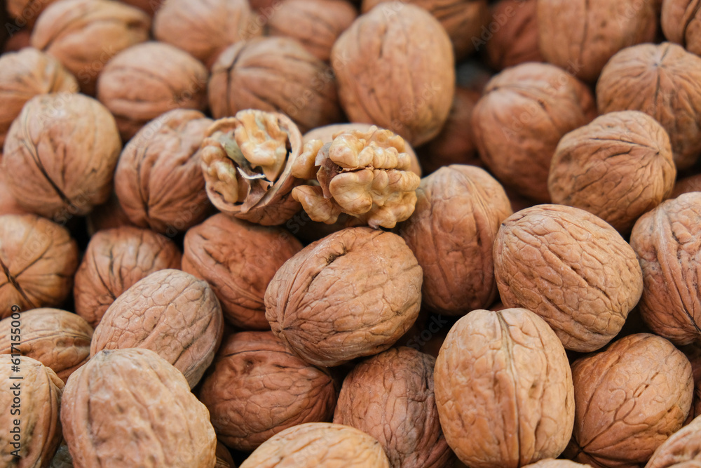 Close up organic whole unopened and opened walnut shells. Unopened walnut shell background. Studio shot of unopened walnut. Selective focus area. Close up organic whole unopened and opened walnut shells. Unopened walnut shell background. Studio shot of unopened walnut. Selective focus area.