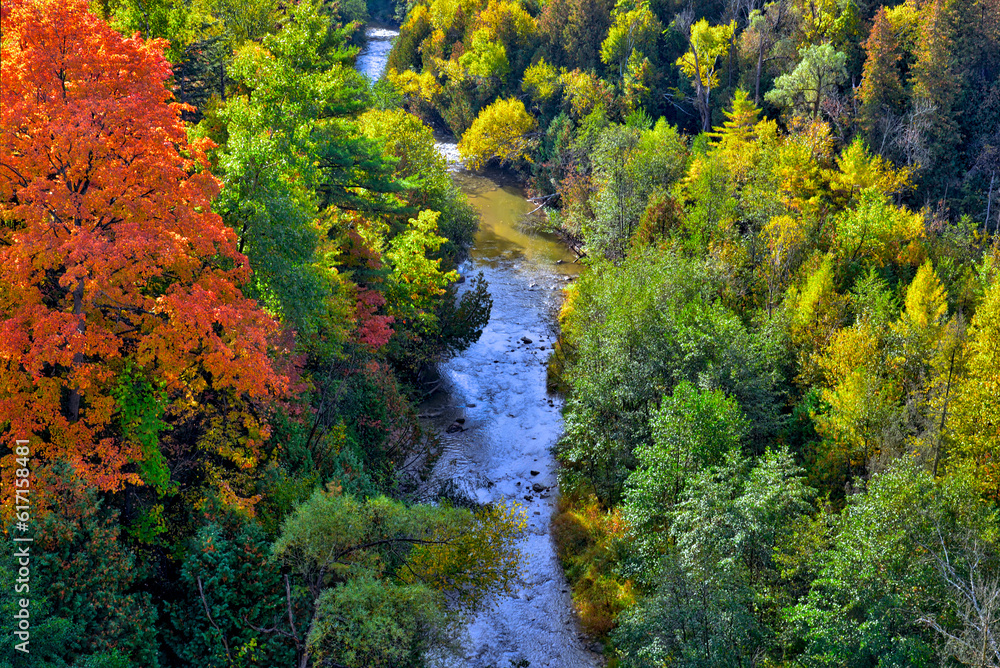 River and colourful forest in autumn. Aerial view of wildlife River and colourful forest in autumn. Aerial view of wildlife