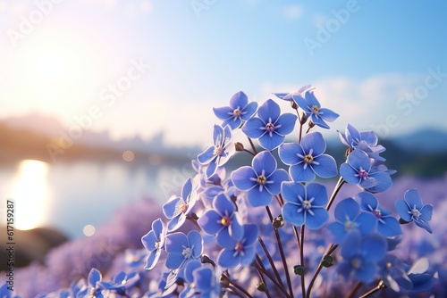 Forget-me-nots close-up aganst the sky photo