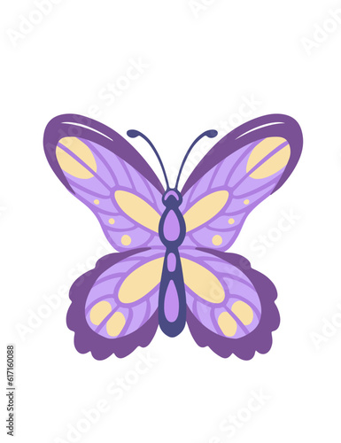 Colorful butterfly insect cartoon style animal design vector illustration isolated on white background © An-Maler