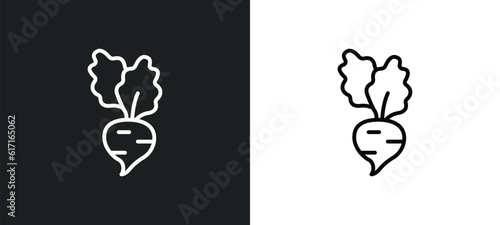 beet line icon in white and black colors. beet flat vector icon from beet collection for web, mobile apps and ui.