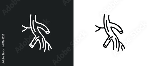 arterioles line icon in white and black colors. arterioles flat vector icon from arterioles collection for web, mobile apps and ui. photo