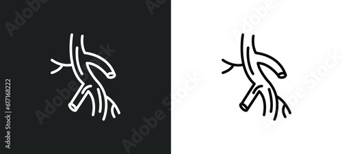 arterioles line icon in white and black colors. arterioles flat vector icon from arterioles collection for web, mobile apps and ui.