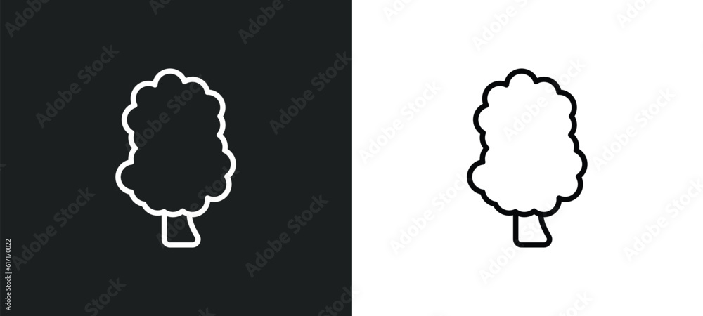 sassafras tree line icon in white and black colors. sassafras tree flat vector icon from sassafras tree collection for web, mobile apps and ui. sassafras tree line icon in white and black colors. sassafras tree flat vector icon from sassafras tree collection for web, mobile apps and ui.