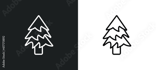 balsam fir tree line icon in white and black colors. balsam fir tree flat vector icon from balsam fir tree collection for web, mobile apps and ui.