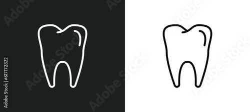molar tooth line icon in white and black colors. molar tooth flat vector icon from molar tooth collection for web, mobile apps and ui.