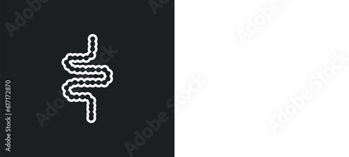 intestines line icon in white and black colors. intestines flat vector icon from intestines collection for web, mobile apps and ui.