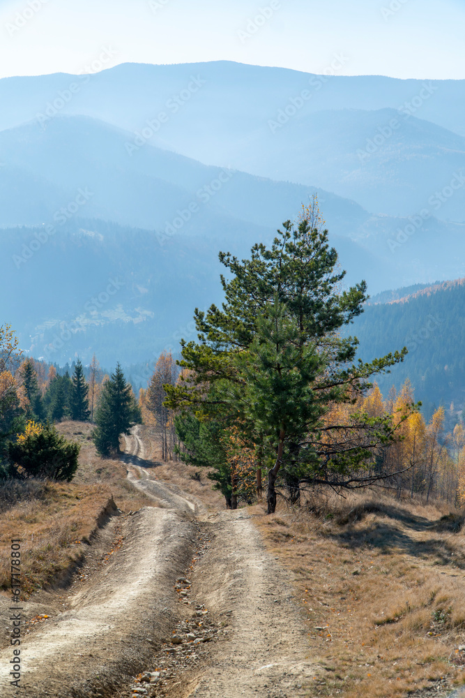 Carpathian Mountains Autumn Landscape in Sunny Day