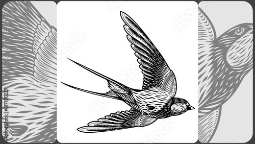Swallow in the retro style of black and white engraved hatching. Illustration of a bird in flight flapping its spread wings for a vintage tattoo or print design. Hand drawn vector art, no trace, no AI