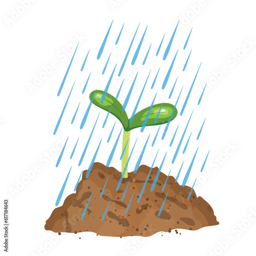 young plant under falling water drops -vector illustration