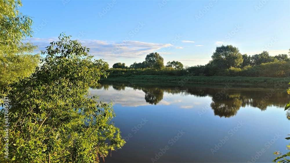 Willows and bushes grow on the grassy banks of the river. The river is illuminated by the rays of the morning summer sun The blue sky with feathery clouds and the trees are reflected in the calm water