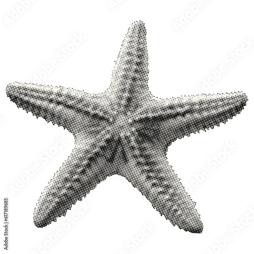 starfish isolated halftone dot collage element in retro magazine style