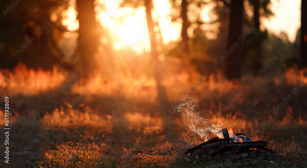 campfire going out in the middle of the forest campfire going out in the middle of the forest