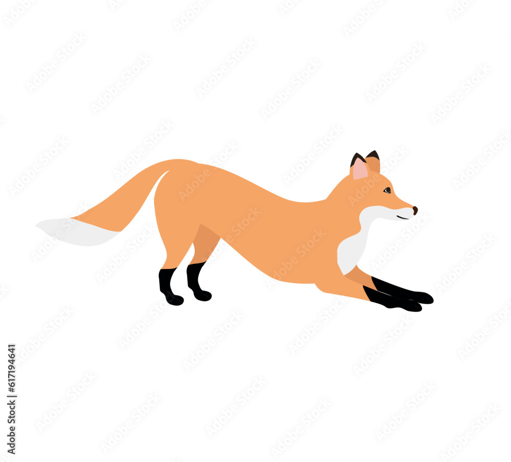 Vector hand drawn flat fox isolated on white background Vector hand drawn flat fox isolated on white background