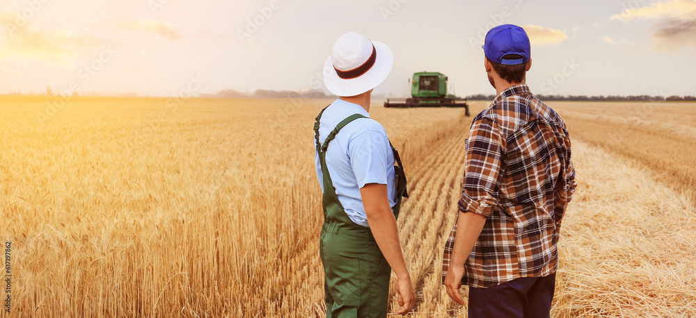 Male farmers in wheat field, back view Male farmers in wheat field, back view