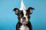Cute dog in a birthday hat. Pet birthday concept. AI generated, human enhanced