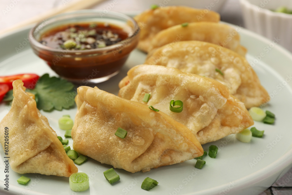 Delicious gyoza (asian dumplings) with green onions and soy sauce on plate, closeup