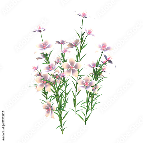 white flower illustration on transparent background