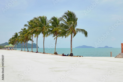 Beach with coconut trees and sea © Anucha