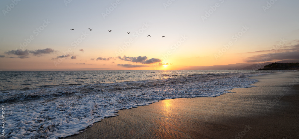 Sunset Ocean Sea Birds Inspirational Nature Landscape Banner