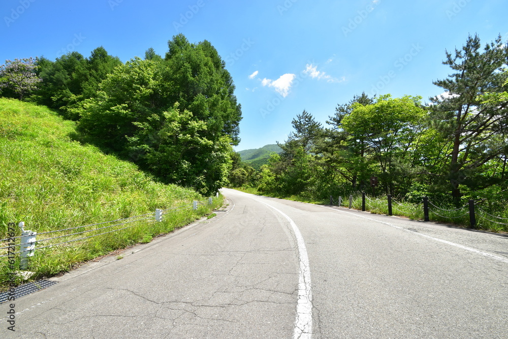 真夏日、よく晴れた日の日本の田舎の道路