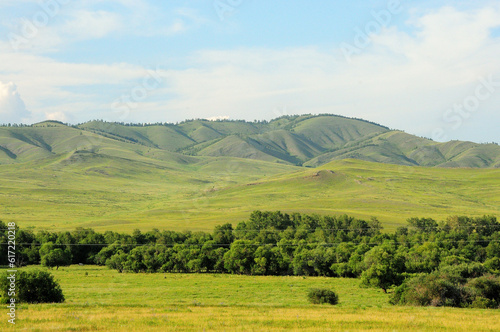 A narrow strip of forest in the endless steppe at the foot of a ridge of high mountains on a sunny summer day.
