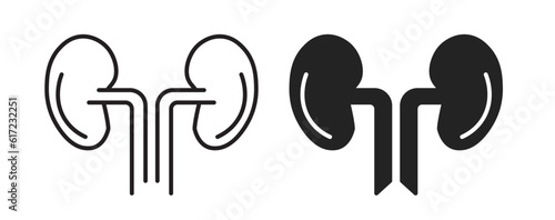 Human body kidney icon set. Kidney organ transplant line vector symbol. Isolated kidney outline and filled icon set. photo
