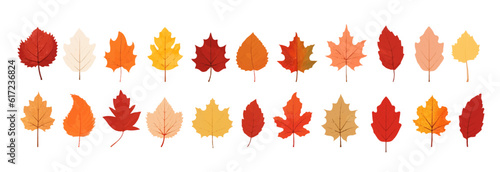Set of autumn leaves.Colorful leaf icons collection. Watercolor autumn leaves.Maple leaf.