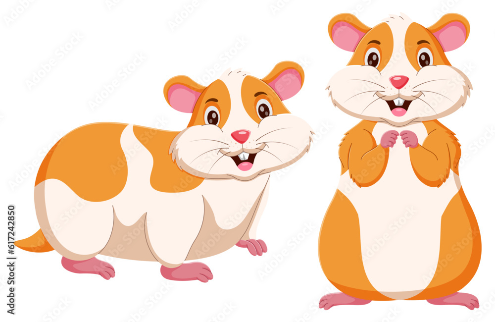 Cute cartoon hamster characters isolated on white background. Vector illustration