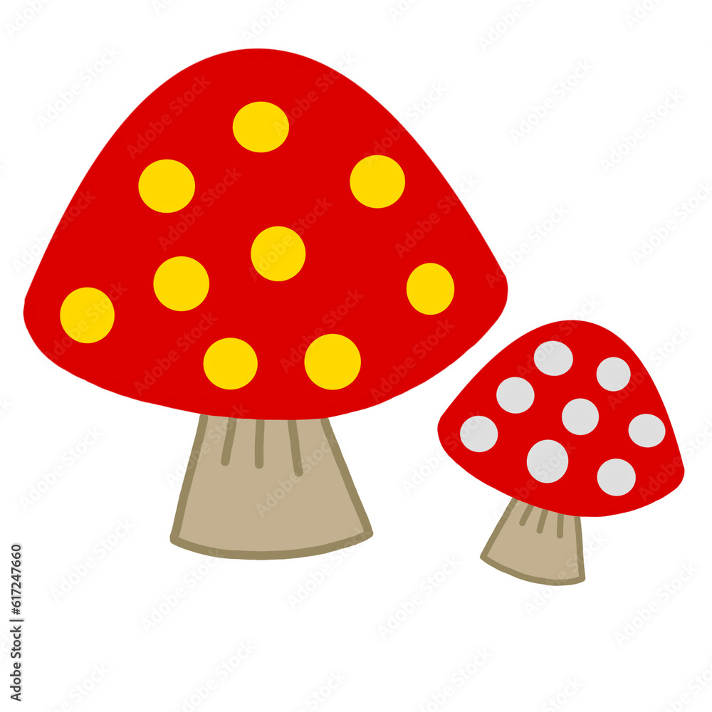 fly agaric mushroom