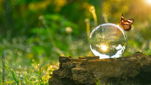 World environment day concept.Globe Glass with butterfly. circular economy renewable energy . sustainable development goals.Environmental protection renewable energy, green business, ESG