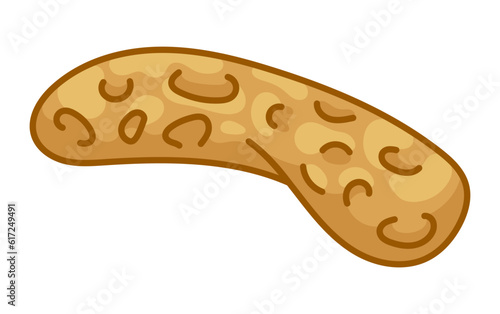 Peanut Nut Sticker