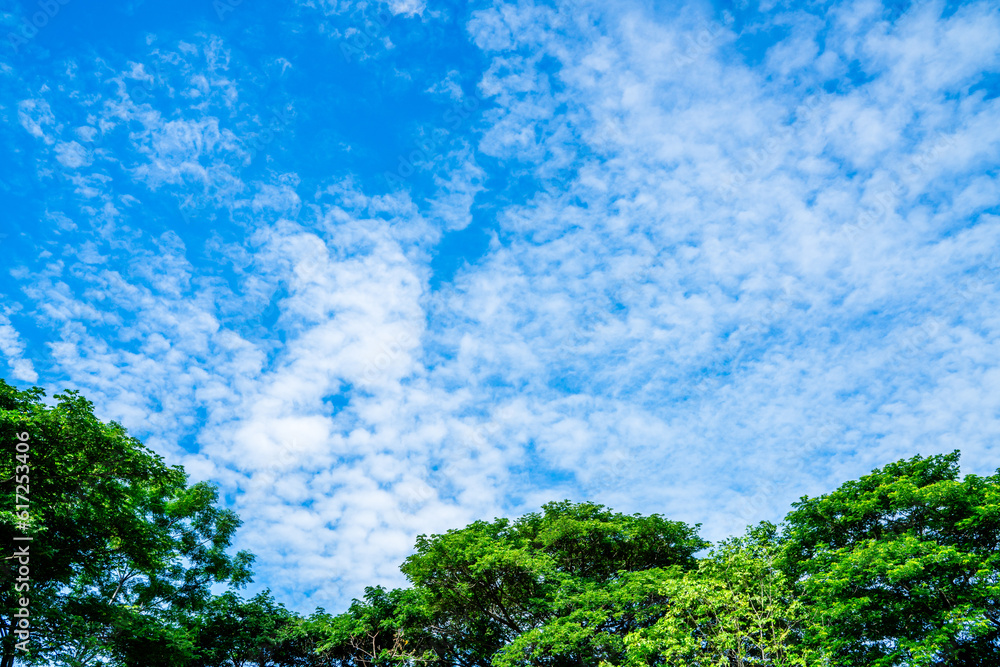 clouds and blue sunny sky, white clouds over blue sky, Aerial view, nature blue sky white cleat weather. clouds and blue sunny sky, white clouds over blue sky, Aerial view, nature blue sky white cleat weather.