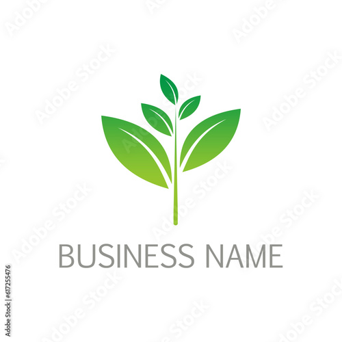 Plant green leaf seed logo vector image